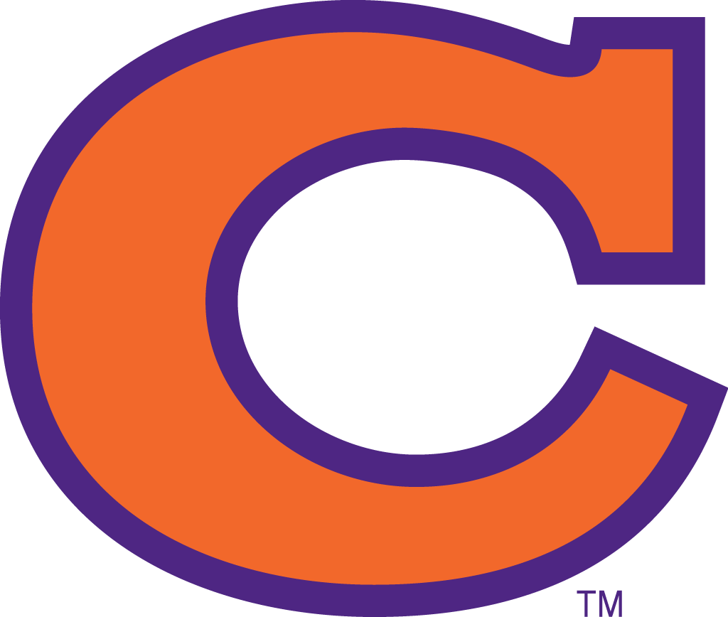 Clemson Tigers 1965-1969 Alternate Logo v4 diy iron on heat transfer